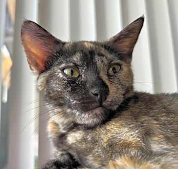 Photo of Ava