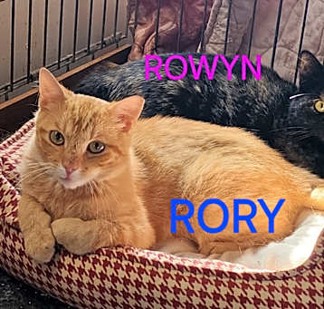 Photo of Rory