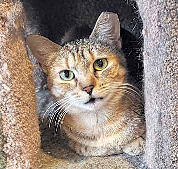 Photo of Sheena