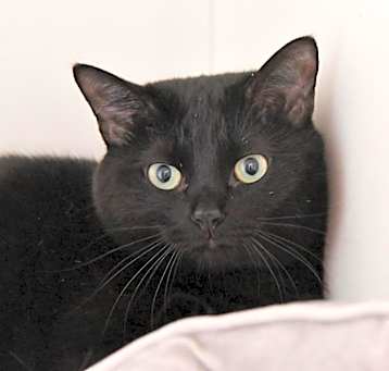 Photo of Kiki