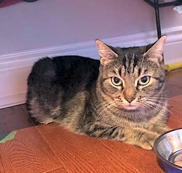 Photo of Libby