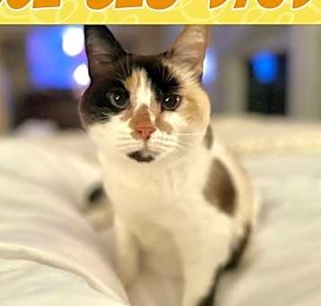 Photo of Marjorie (Gainsville) so sweet