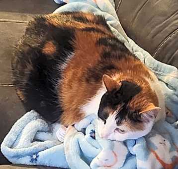Photo of Tasha