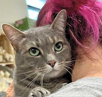 Photo of Annie