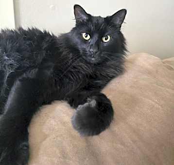 Photo of Spooky