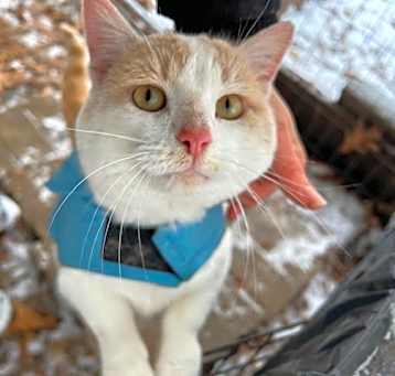 Photo of Butters