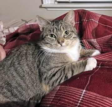 Photo of Harper