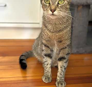 Photo of Eva