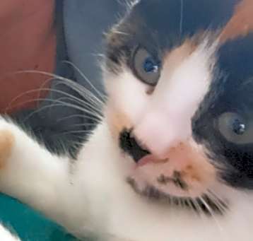 Photo of Winifred "winnie"