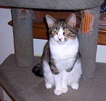 Photo of Bumps