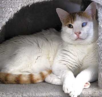Photo of Sandy Q