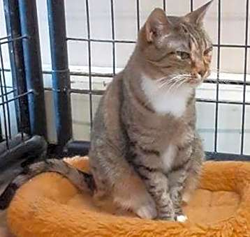 Photo of Roxy
