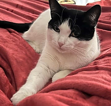 Photo of Ava Marie