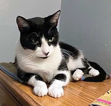 Photo of Rocky