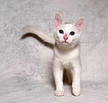 Photo of Gabrielle