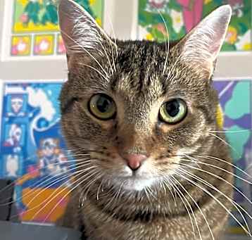 Photo of Maxine