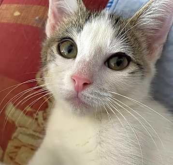 Photo of Wendell