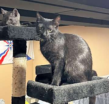 Photo of Taiko & Ochiba