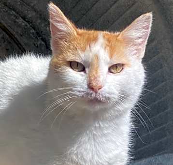 Photo of Penelope