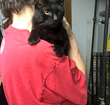 Photo of Jack Sparrow bonded with Salem