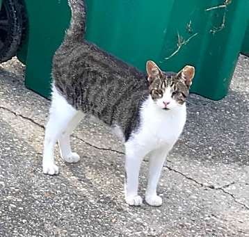 Photo of Tooie