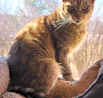 Photo of Tora