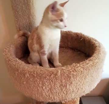 Photo of Wally