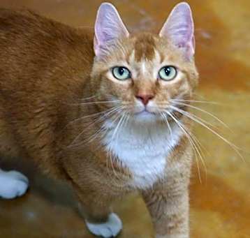 Photo of Rocky