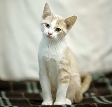 Photo of Cass