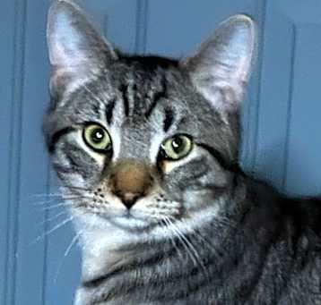 Photo of Jack