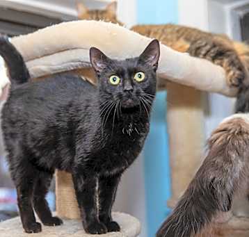 Photo of Jolene