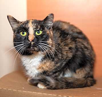 Photo of Natasha