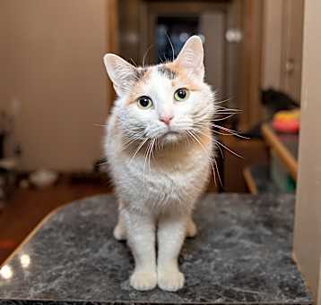 Photo of Molly
