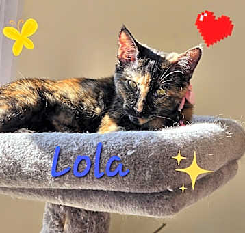Photo of Lola R