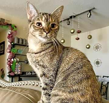Photo of Beryl