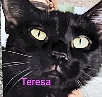 Photo of Teresa