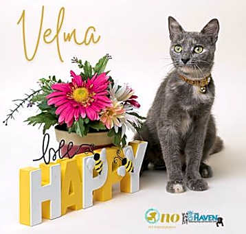 Photo of Velma