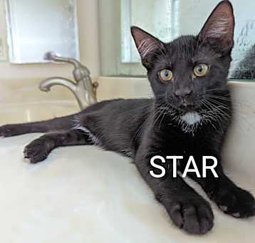 Photo of Star