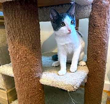 Photo of Cece