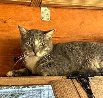 Photo of Zepheriah