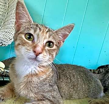Photo of Ethel