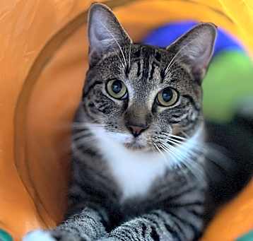Photo of Louis (m)