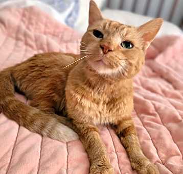 Photo of Beans
