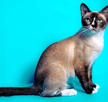 Photo of Clara