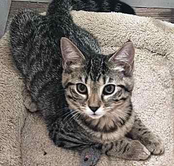 Photo of Rylie