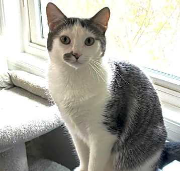 Photo of Callie