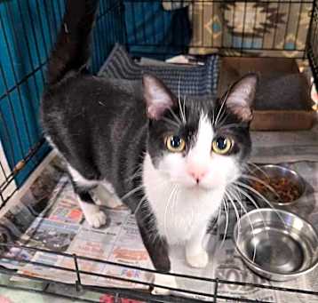 Photo of Lucky