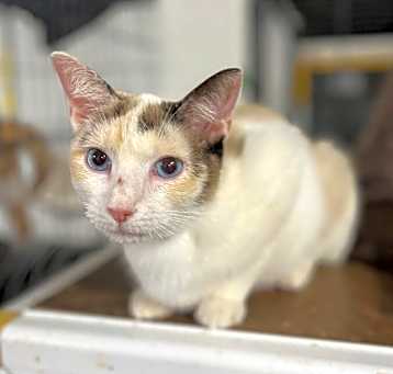 Photo of Rosita