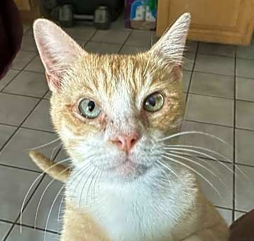 Photo of Sunshine