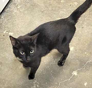 Photo of Hera